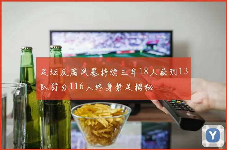 足坛反腐风暴持续三年18人获刑13队罚分116人终身禁足揭秘